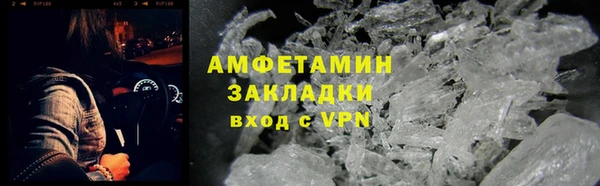 прущие грибы Абаза
