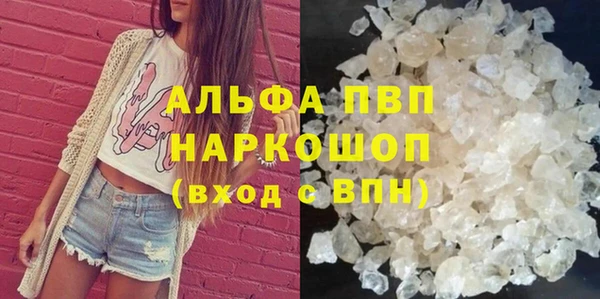 прущие грибы Абаза