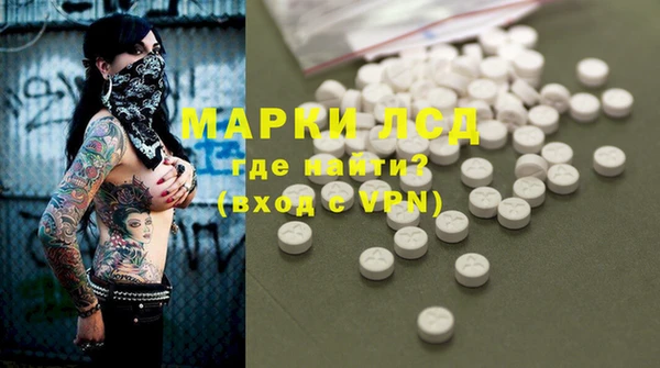 прущие грибы Абаза