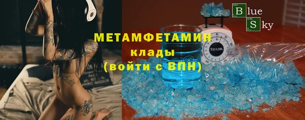 прущие грибы Абаза