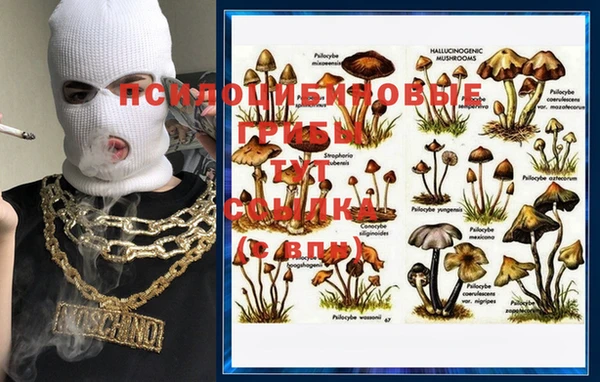 COCAINE Абинск