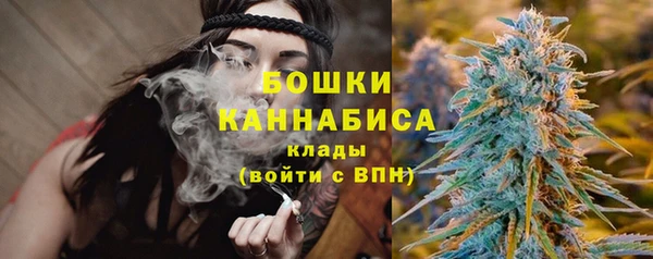 прущие грибы Абаза