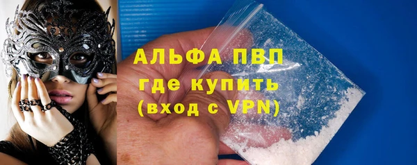 прущие грибы Абаза