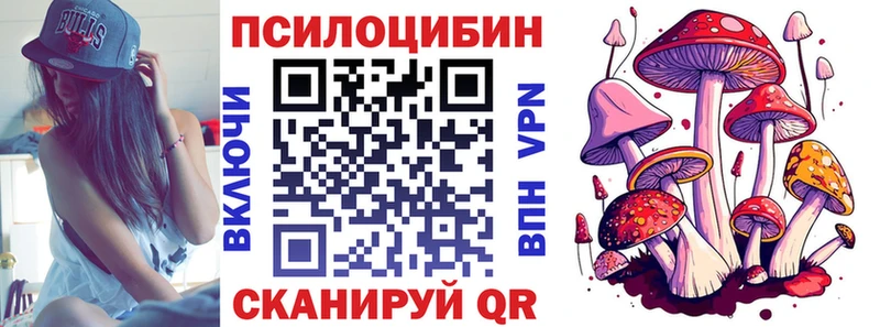 Галлюциногенные грибы Psilocybine cubensis  Курчатов 
