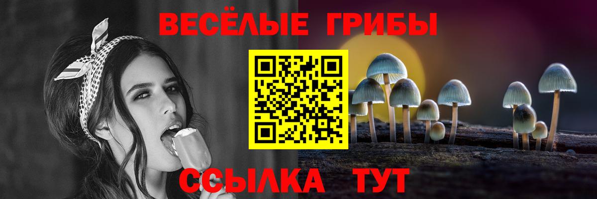 Псилоцибиновые грибы ЛСД Курчатов